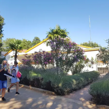 Holiday park Mobile Homes Banko Bijela Uvala