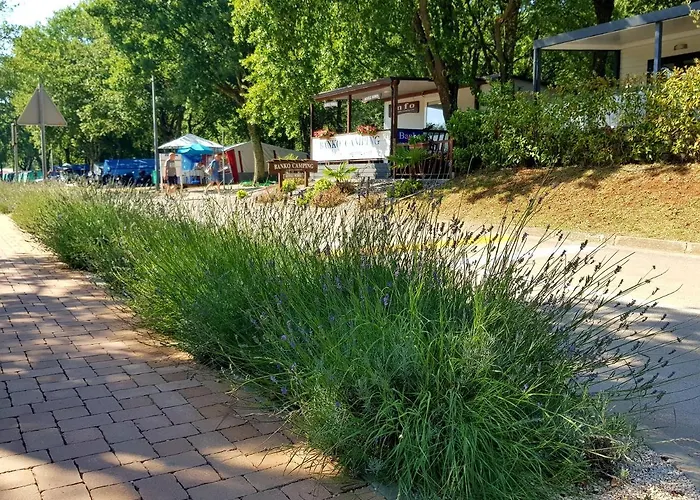 База отдыха Mobile Homes Banko In Bijela Uvala And Zelena Laguna Mugeba